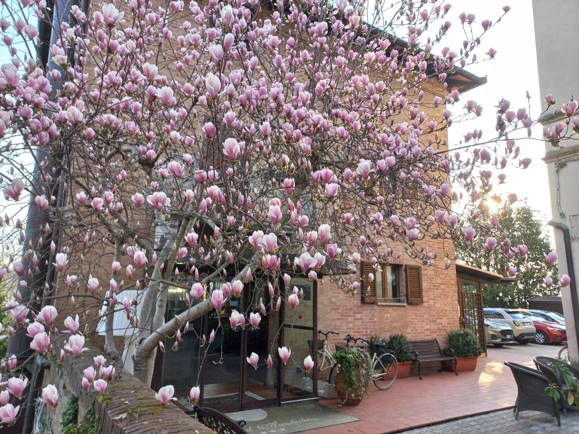 Hotel Arcobaleno Siena Esterno foto